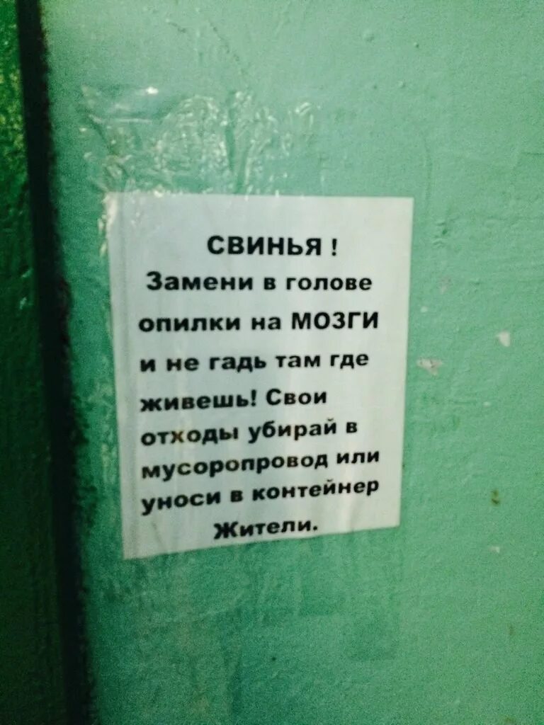 Мусоропровод включить красивее собрала поставьте. Объявления в подъезде. Прикольные объявления в подъезде. Прикольные надписи в подъездах. Смешные объявления в подъездах.