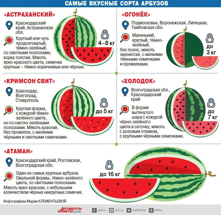 Можно ли арбуз после. Арбуз инфографика. Арбуз круглый или овальный. Арбуз размер. Семена арбуза размер.