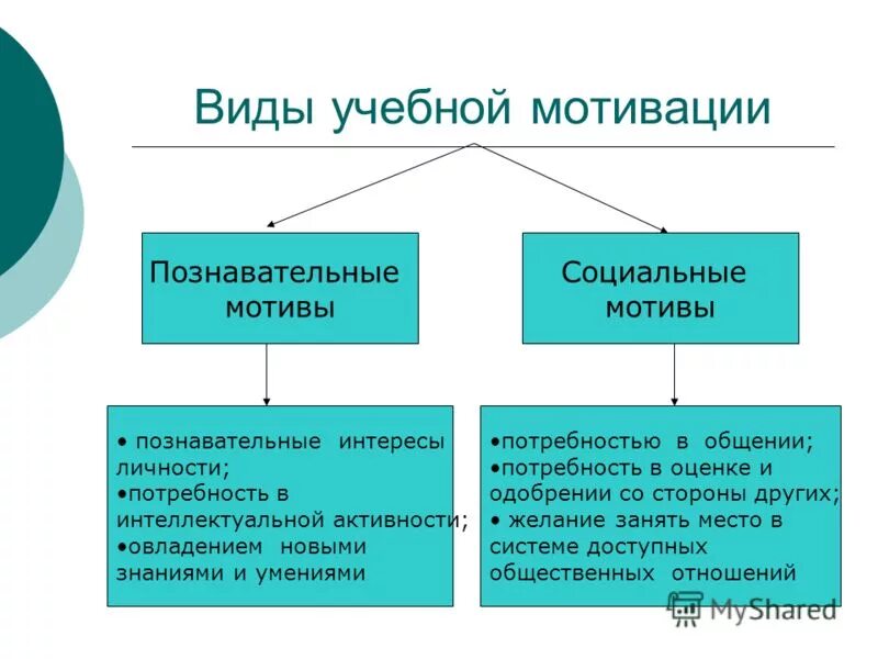 Форма учебной мотивации. Внешние и внутренние мотивы учебной деятельности. Внешняя мотивация учебной деятельности студентов. Формы учебной мотивации.