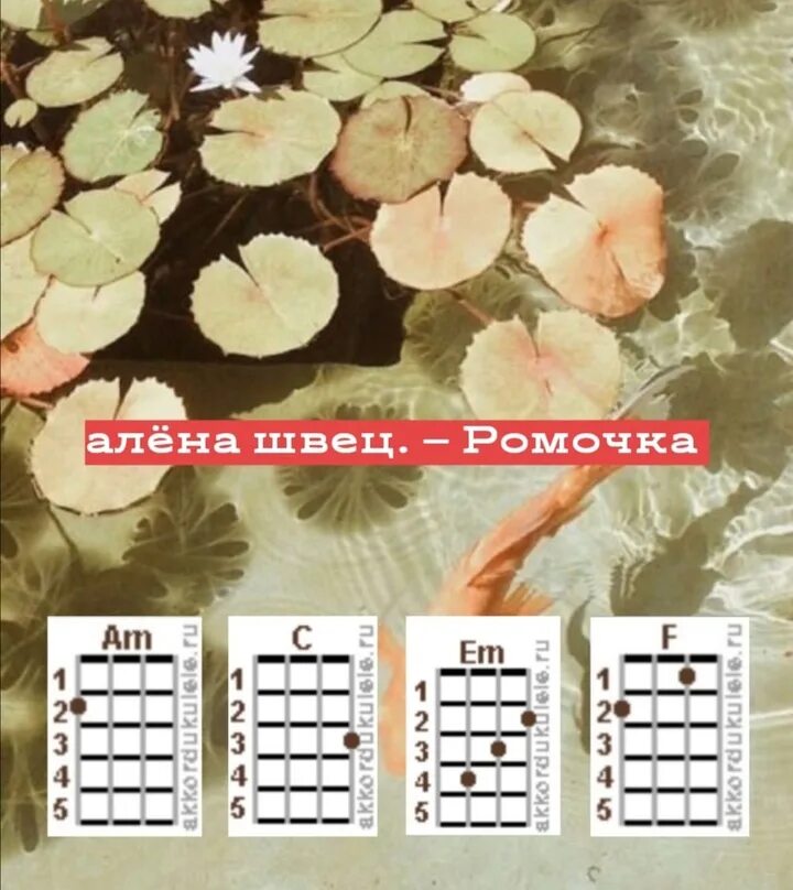Мой ромочка аккорды. Аккорды укулеле. Мой ромочка аккорды. Мой ромочка аккорды. Аккорды укулеле швец.