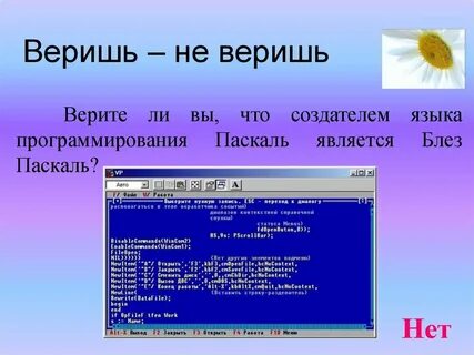 Почему паскаль универсальный язык