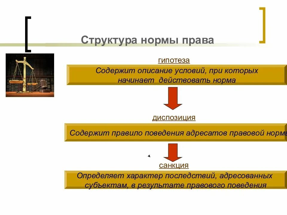 Норма состоит из диспозиции и санкции