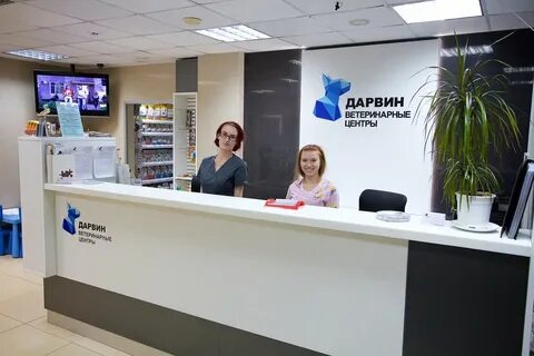 Дарвин ветклиника ульяновск верхняя