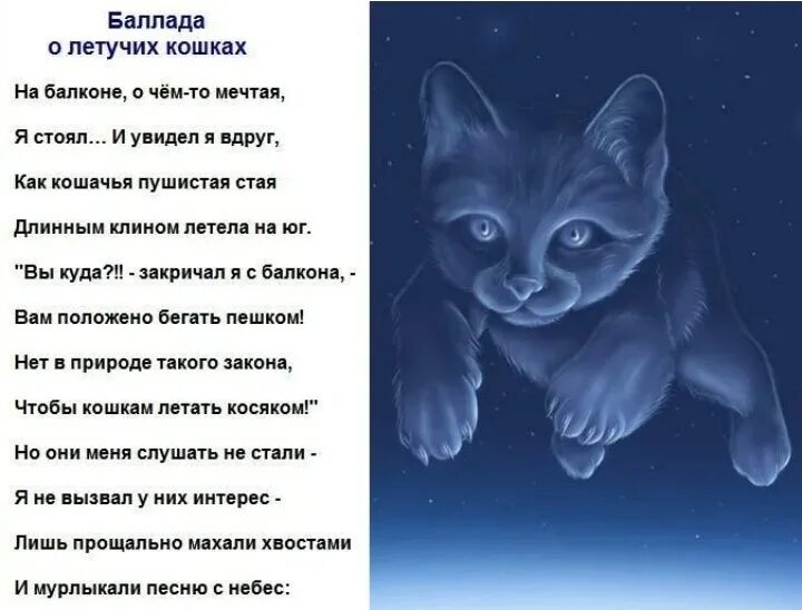 Жил на свете котенок. Стихи о котах. Стихи про кошек грустные. Стишки про кошек. Стих про котика.