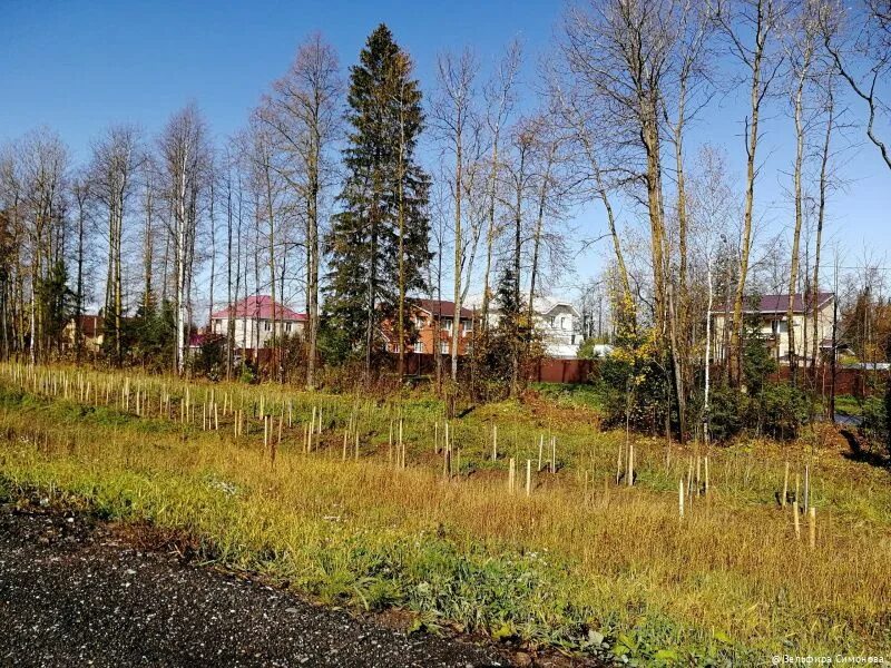 Погода в старых лядах пермский край