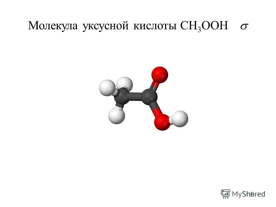молекула уксусной кислоты