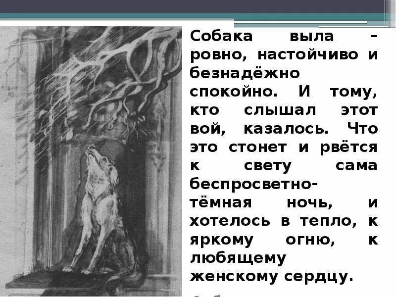 Тест по кусаке 7. Л.Андреева кусака. Анализ рассказа кусака Андреев. Анализ рассказа кусака. Иллюстрация к рассказу кусака собака выла.