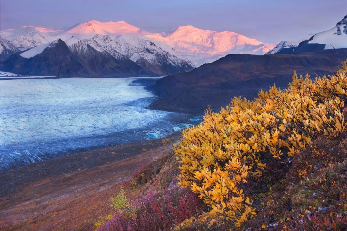 Alyaska. Аляска Анкоридж природа. Залив Ресеррекшен Аляска США. Ландшафты Аляски. Северное побережье Аляски.