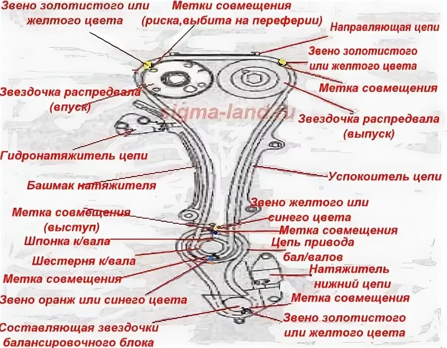 Двигатель qr20de метки ГРМ. Qr25 метки цепи ГРМ. Метки ГРМ Ниссан х-Трейл т30 qr20de. Метки ГРМ qr20 Ниссан х Трейл. 20 метки грм