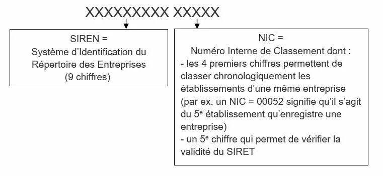 Nic это. Nic Section. Что означает nic.