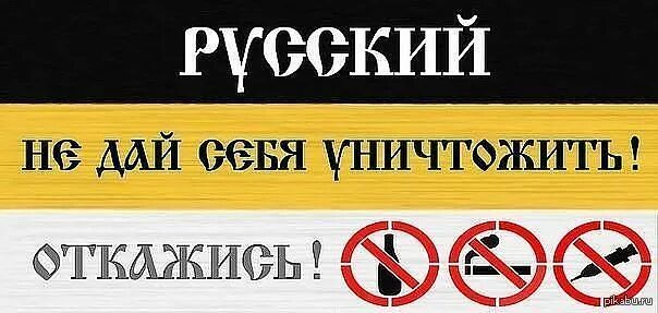 Русские не пьют песня. Русский не дай себя уничтожить. Националистические листовки.