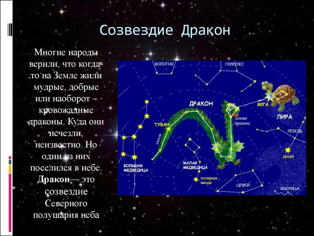 Сценарий созвездие. Созвездия Северного полушария дракон. Созвездие дракон рассказ 2 класс. Легенда о созвездии дракона для 2 класса. Легенда о созвездии дракона для 5 класса.