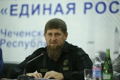 Комментарий кадырову