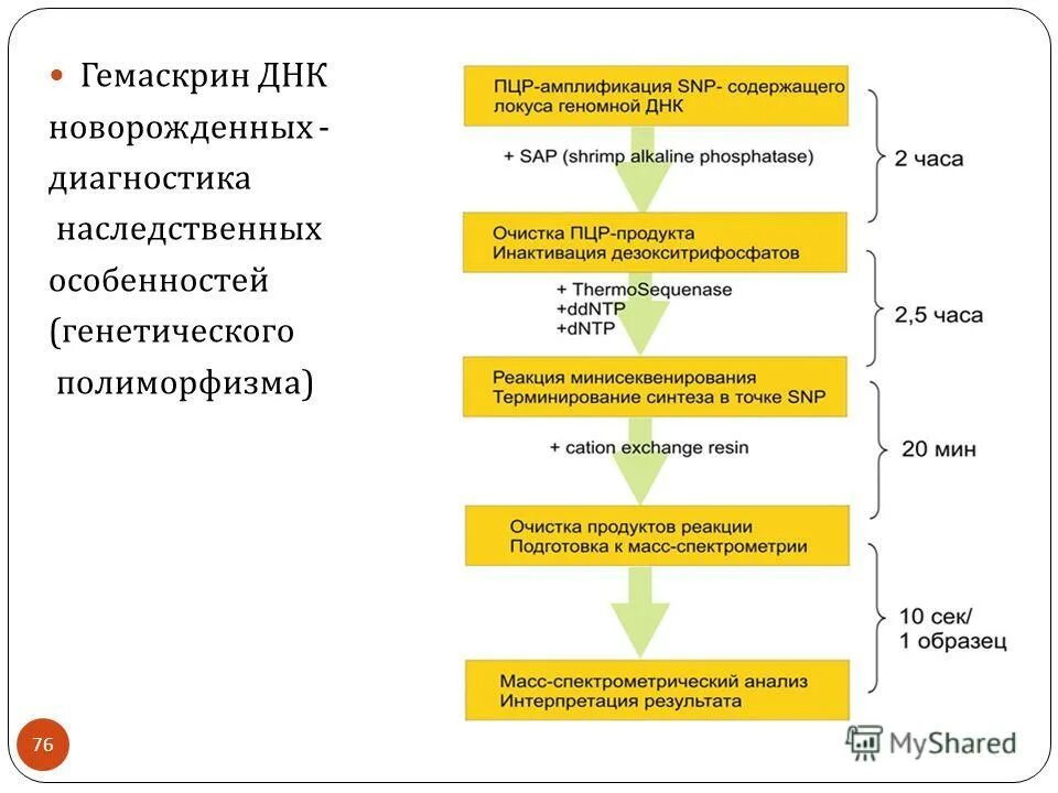 Диагностика генетического полиморфизма. Гемаскрин.