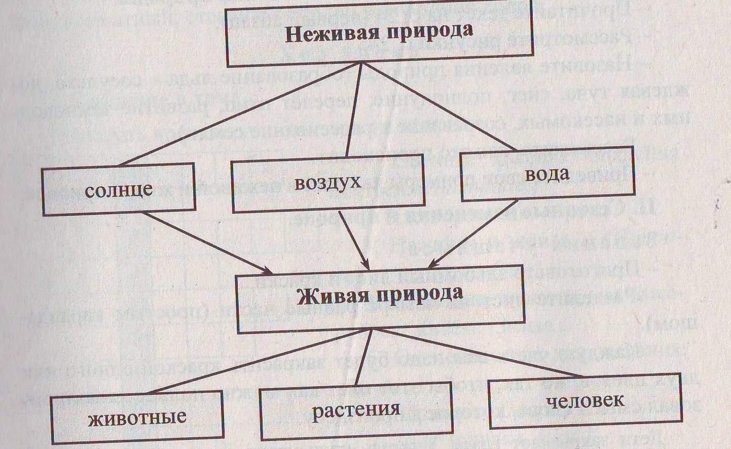 Природные связи между объектами. Схема связи между живой и неживой природой 2 класс окружающий мир. Схема связи живой и неживой природы 2 класс. Схема взаимосвязи живой и неживой природы 2 класс. Схема живой и неживой природы 2 класс окружающий мир.