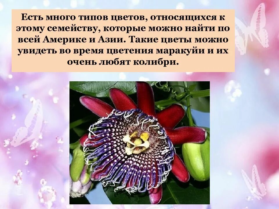 Информация о самых