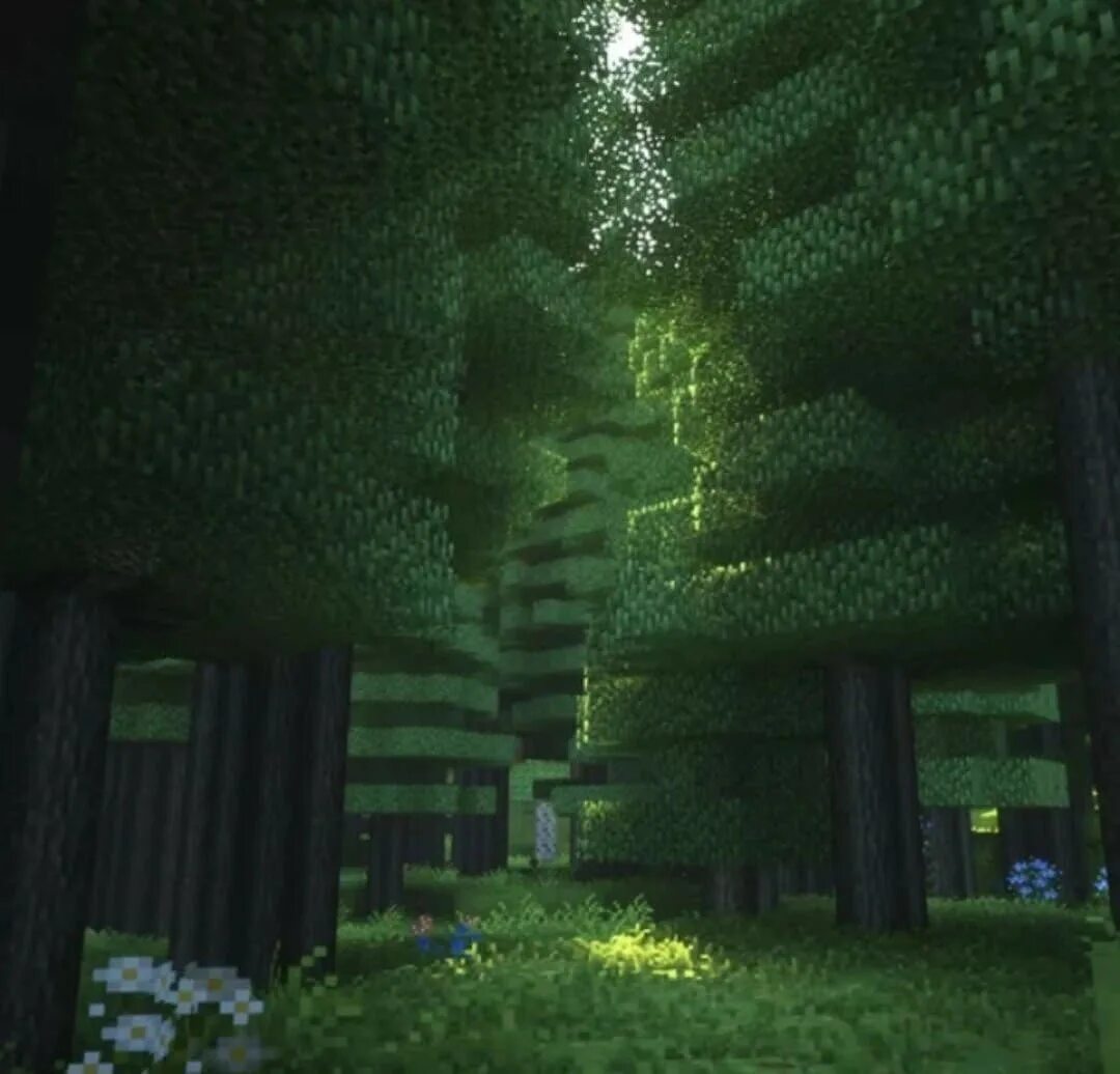 Shaders library. Bsl shaders 1.12.2. биомы в сумеречном лесу. мир майнкрафт. лес в майнкрафте.