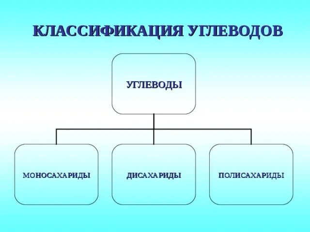 Картинки УСТАНОВИТЕ СООТВЕТСТВИЕ УГЛЕВОД