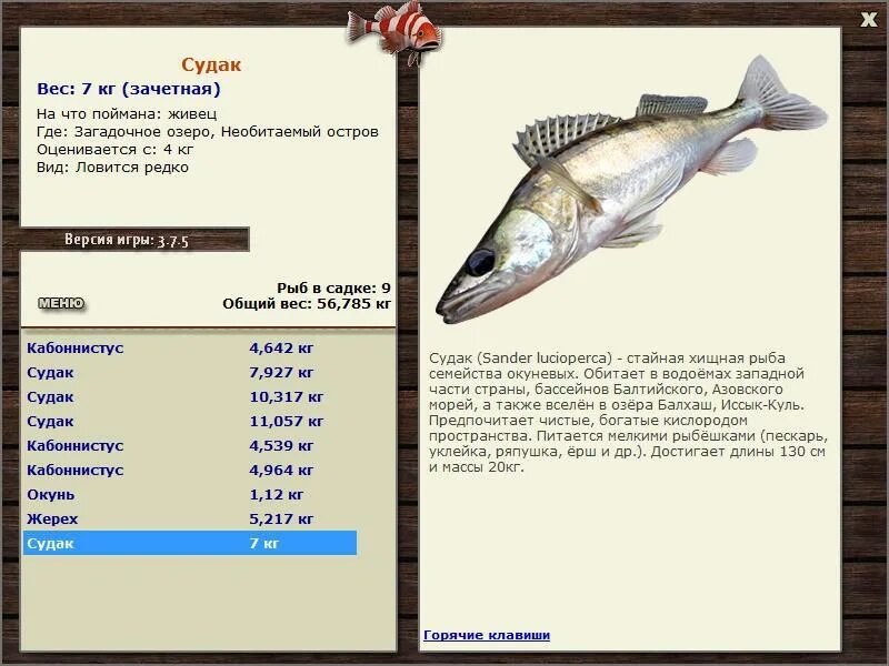 Судак 7. Судак 7. Судак улица морская. Улов судака. Рыбы можайского водохранилища.