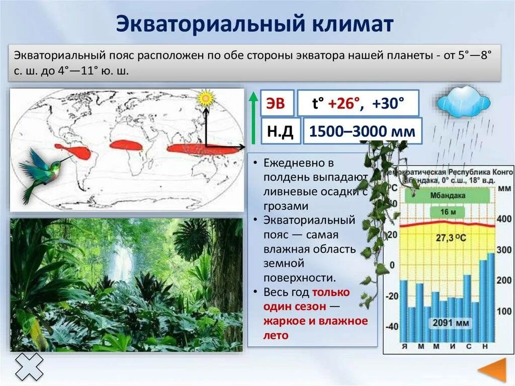 Климат экваториального пояса. Экваториальный климатический пояс. Экваториальный пояс климат влажный. Экваториальный и тропический климат.