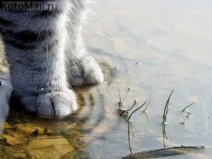 Три дня дождя в воздухе пахнет весной