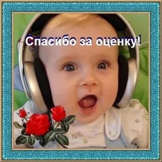 Слова благодарности за оценку