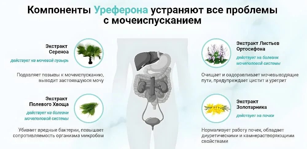 Самые лучшие таблетки от цистита у женщин. При болях в мочевом пузыре. Непрофостен от цистита. Лекарство при частом мочеиспускании у детей. Травяные сборы.
