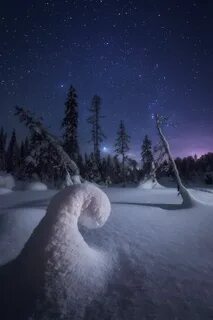 Песня звезда в снегу