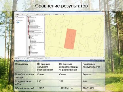 Натурное техническое обследование лесного участка