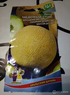 Дыня лакомка