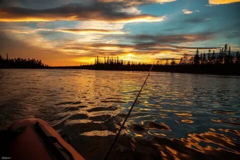 N fishing