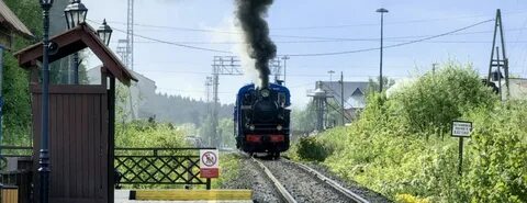 Нерпочка сортавала