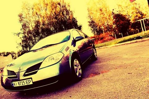Nissan primera масло