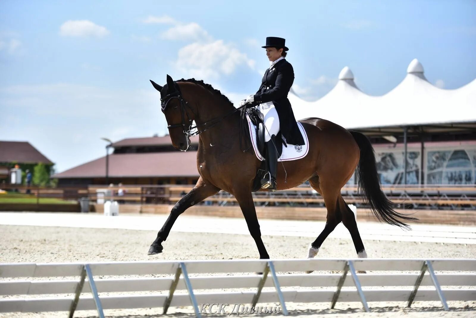 Кск сивка. Конюшни кск созидатель. Конно-спортивный клуб прованс, москва. Красивый кск. Красивый кск.