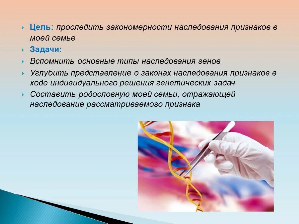 Основные закономерности передачи наследственных признаков. Каковы закономерности наследования признаков. Закономерности наследственных признаков. Закономерности наследственных признаков. Основные закономерности наследования.