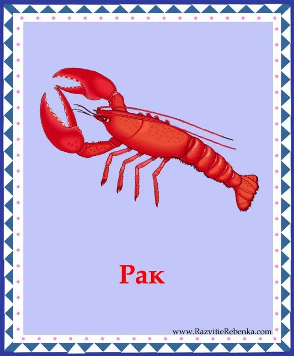 Cancer twenty one pilots cover. царь всех болезней книга. Aries знак зодиака на русском. онкология интересные факты. продолжительность жизни рачков.