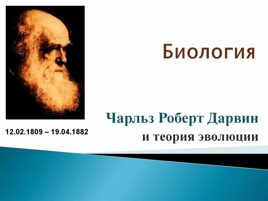 Гипотеза дарвина. Теория эволюции ч. Дарвина (1809-1882).. Эволюционная теория Чарльза Дарвина.