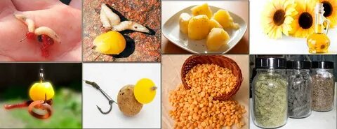Лучшая приманка леща