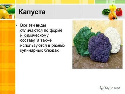 Любимый овощ