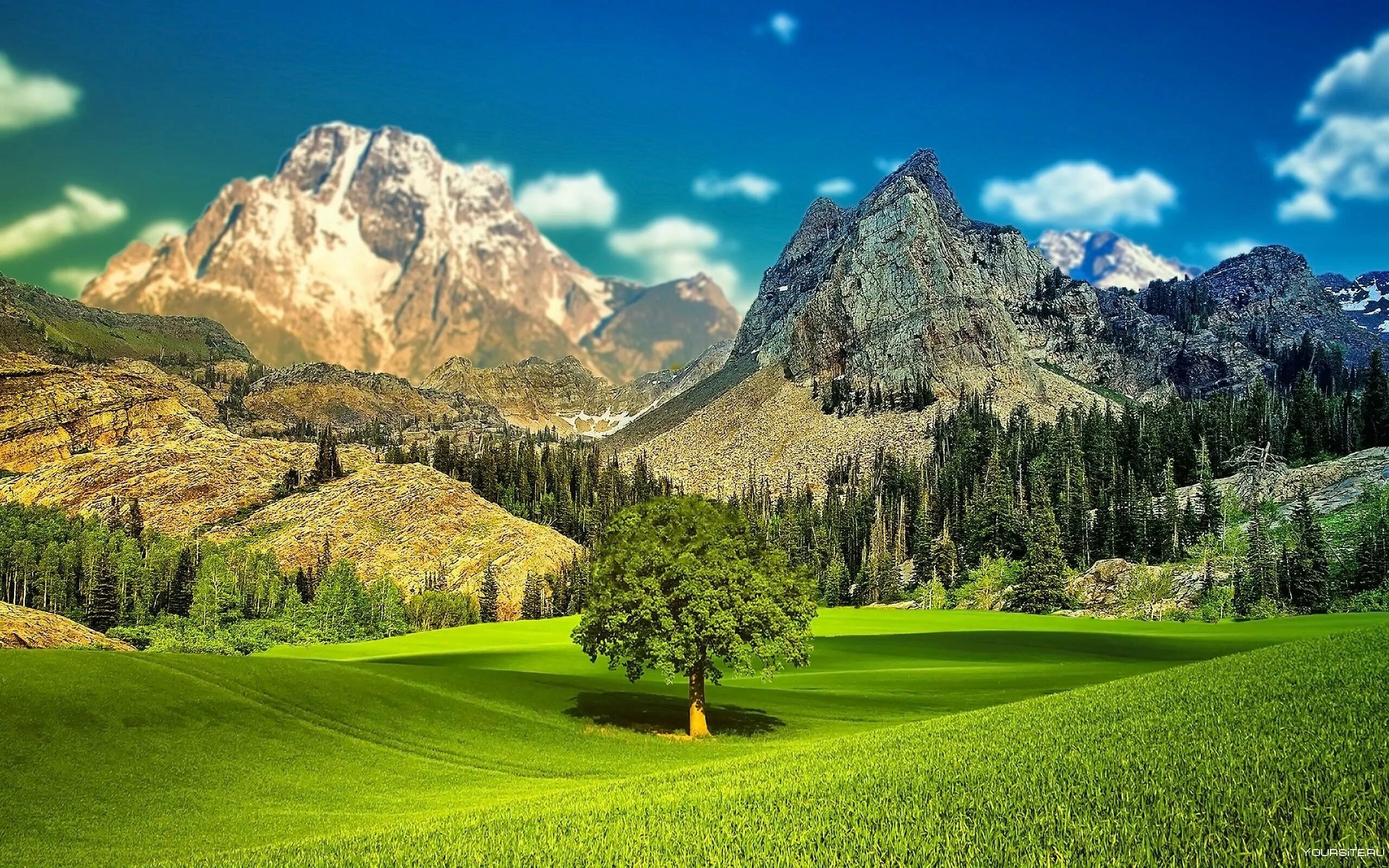 Nature search