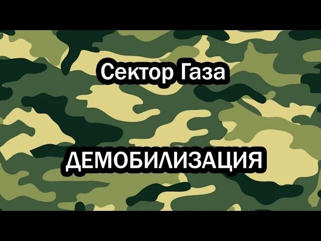 Демобилизация это простыми словами. Демобилизация сектор. Сектор газа Демобилизация. Сектор газа Демобилизация обложка. Демобилизация сектор слушать.