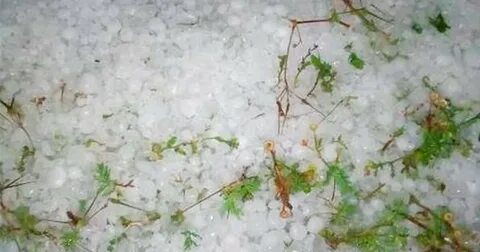 Выпавшие осадки снег