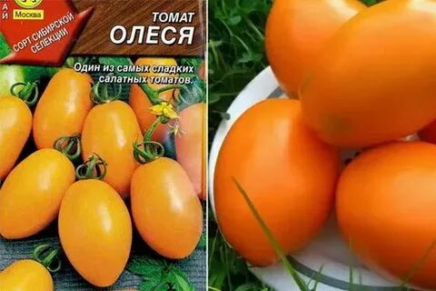 Томат патрикеевна