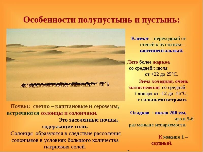 Тип климата в степи