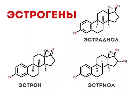 Эстрадиол это эстроген. Эстрон формула химическая. Эстроген гормон формула. Эстроген формула структурная. Эстрон структурная формула.