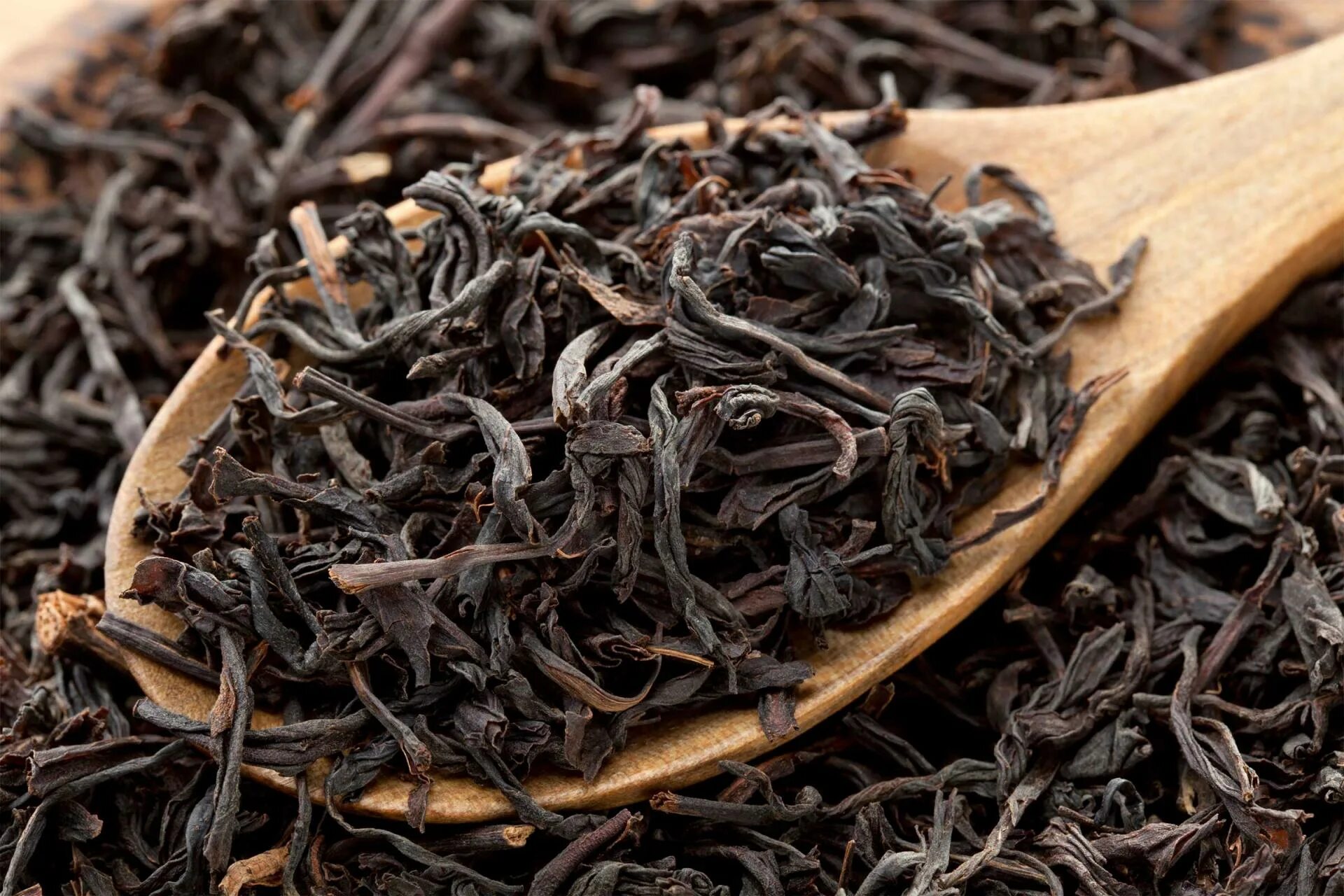 Листья черного польза. Чай Блэк Теа. Шах Масуд чай 95. Шах Масуд чай зеленый. Черный чай заварка.