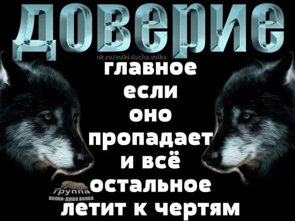 Волк новое слово. Душа волка цитаты. Слова волка. Одинокий волк цитаты. Волк с надписью.