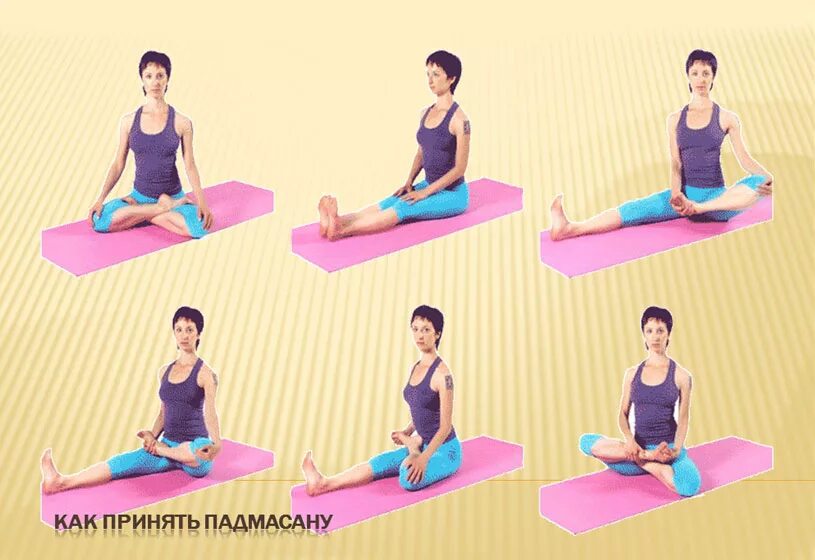 позы для растяжки. падмасана поза лотоса. йога для тазобедренного сустава. ардха падмасана – падмасана. йога поза лотоса.
