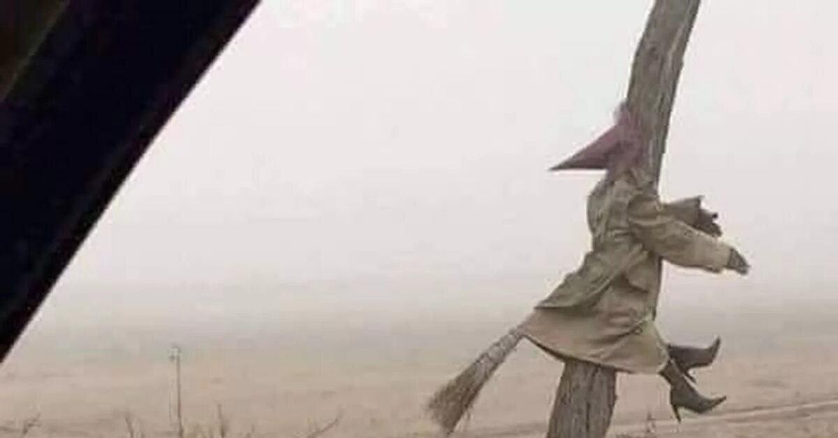 Чей парень быстрее. Микаэль экваль бегун. Чей парень быстрее. Хх это мужчина. Как это выглядит на самом деле.