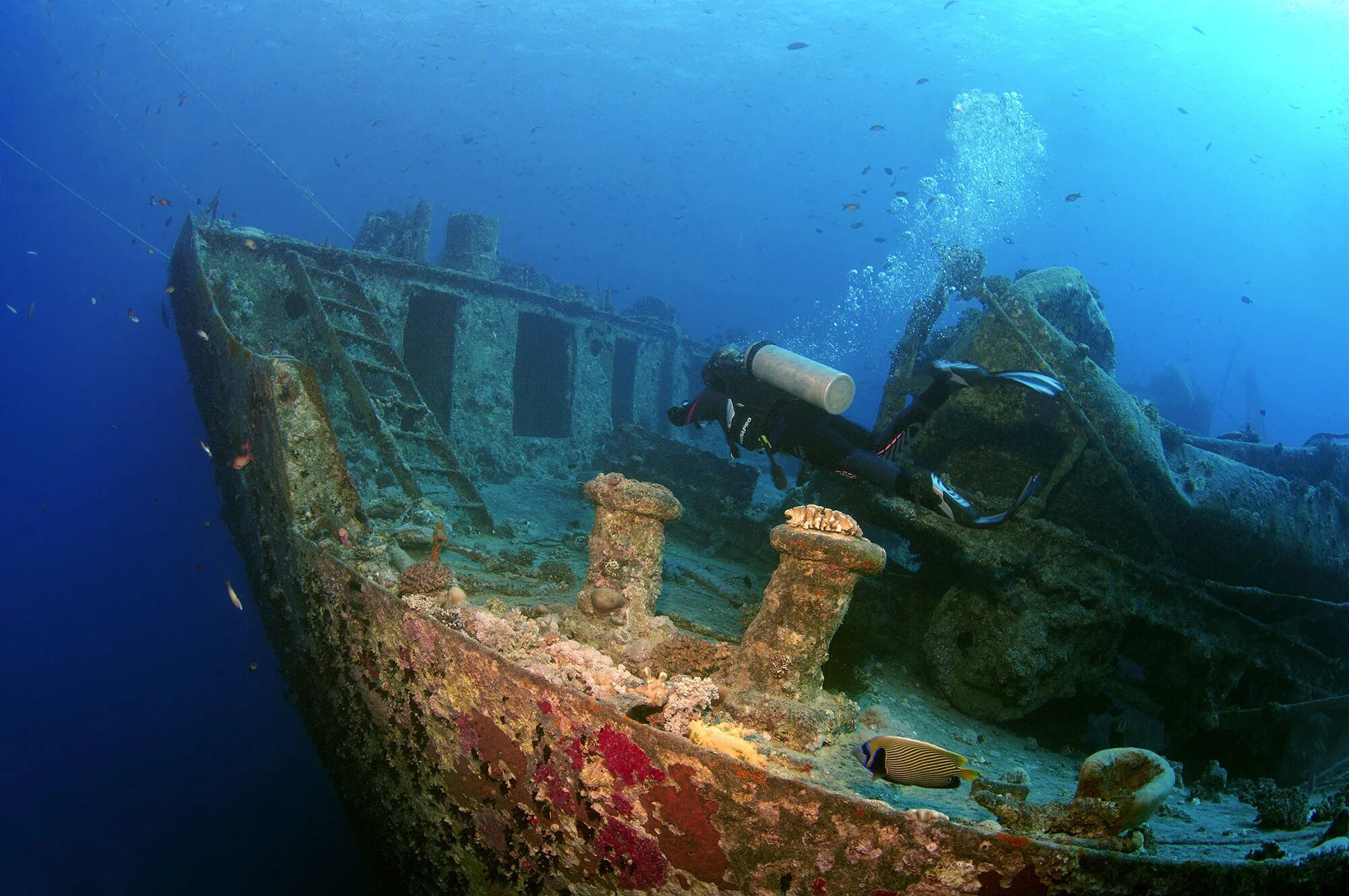 Какой корабль затоплен. Затонувший корабль в Египте Тистлегорм. SS Thistlegorm затонувшие корабли. Корабль SS Thistlegorm, красное море. SS Thistlegorm затонувший британский корабль.